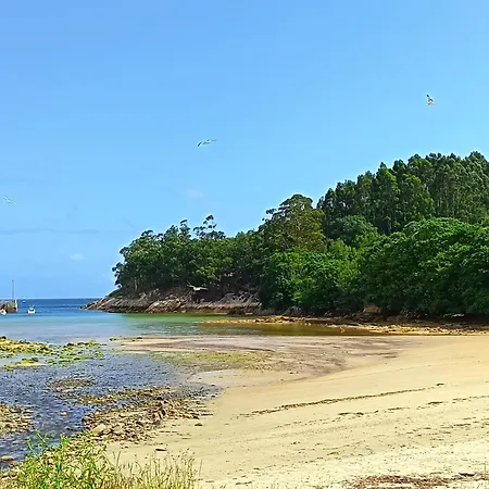 25 * Portocelo